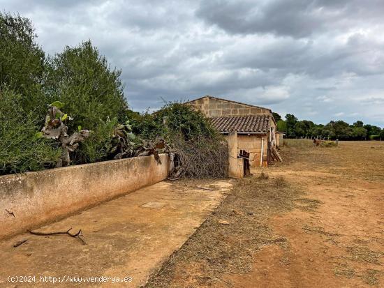 ¡ SE VENDE FINCA RUSTICA EN PORRERES ! - BALEARES