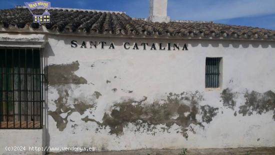 FINCA RUSTICA CON CONSTRUCCIÓN ZONA HUERTA LA MONARDA - CADIZ