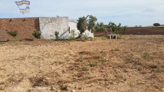 FINCA RUSTICA CON CONSTRUCCIÓN ZONA HUERTA LA MONARDA - CADIZ