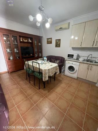  SE VENDE O SE ALQUILA APARTAMENTO EN ZONA CENTRO - CADIZ 