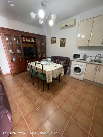 SE VENDE O SE ALQUILA APARTAMENTO EN ZONA CENTRO - CADIZ