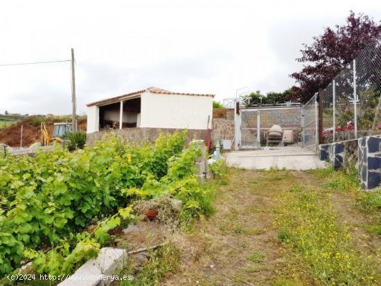 TINERCASA VENDE FINCA AGRICOLA EN LA ZONA DEL SAUZAL - SANTA CRUZ DE TENERIFE