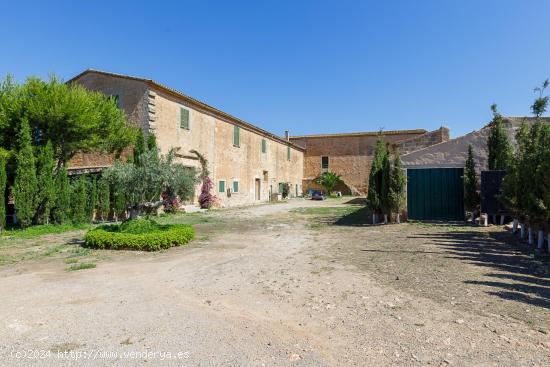 Exclusiva Finca Histórica en Palma de Mallorca - Son Gallard - BALEARES