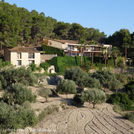 Preciosa finca en una zona muy cotizada de Benissa - ALICANTE