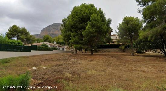 Terreno de 1500 m2 y 300 m2 edificables en Jávea - ALICANTE