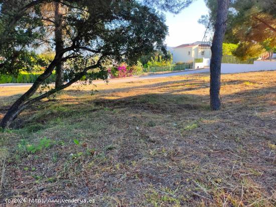 Terreno de 1500 m2 y 300 m2 edificables en Jávea - ALICANTE