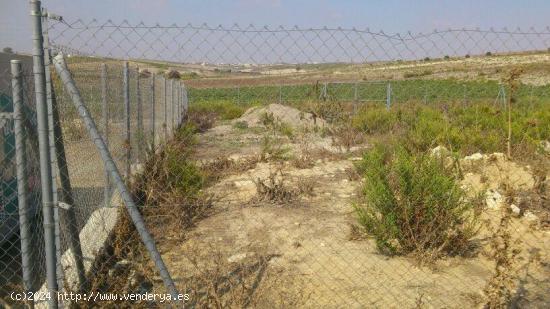 BUSCAS UNA PARCELA ECONÓMICA? - CADIZ