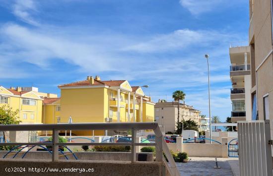 Duplex en zona Santiago Bernabeu , a dos calles del paseo , zonas comunes ajardinadas. - ALICANTE