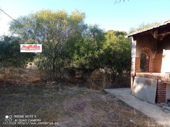 SE VENDE CASA CON NAVE Y TERRENO EN ASPE - ALICANTE