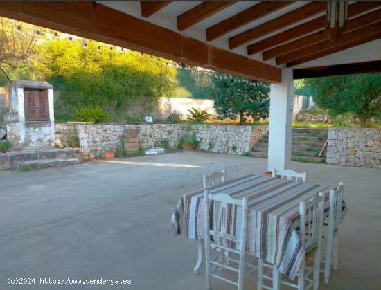 CASA DE CAMPO EN PEDREGUER CERCA DEL CENTRO URBANO - ALICANTE