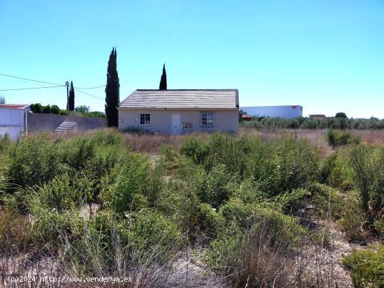 Casita de recreo en la huerta de Alguazas - MURCIA