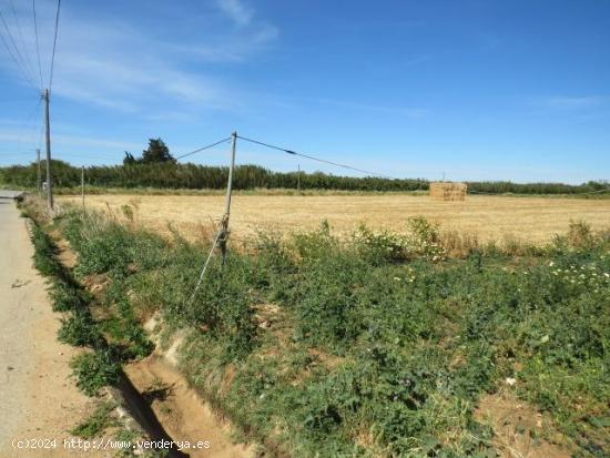 ESTUPENDA FINCA EN BARRIO NUEVO (CONIL) - CADIZ