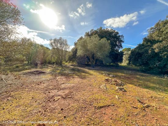 PROYECTO PARA UNIFAMILIAR RÚSTICA EN SENCELLES CON PISCINA - BALEARES