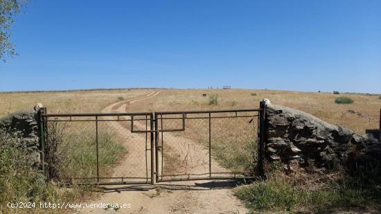 Finca ganadera de 15 hectáreas en Garrovillas - CACERES