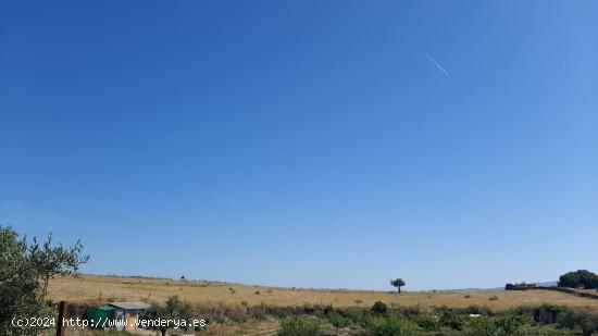 Finca ganadera de 15 hectáreas en Garrovillas - CACERES