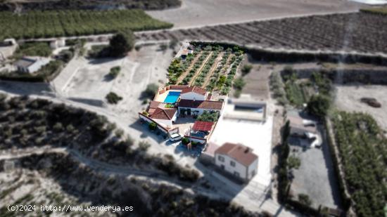 VILLA MEDITERRÁNEA EN PERDIGUERA - MURCIA