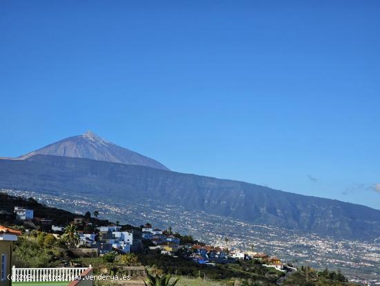 Casa en La Corujera (Santa Úrsula) - SANTA CRUZ DE TENERIFE