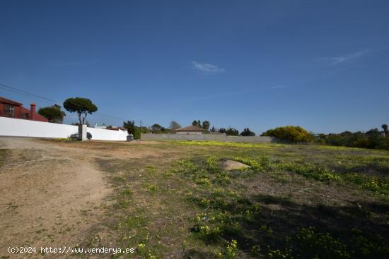 PARCELA DE 2442 M2 EN PINAR DE LOS FRANCESES - CADIZ