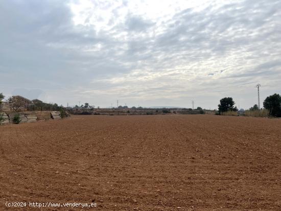 CAMPO PARA CULTIVO - VALENCIA