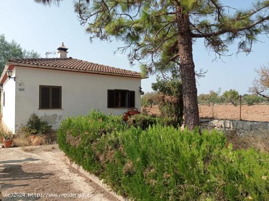  Bonita finca rústica con safareig - BALEARES 