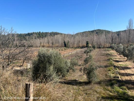 Maset en el río - TERUEL