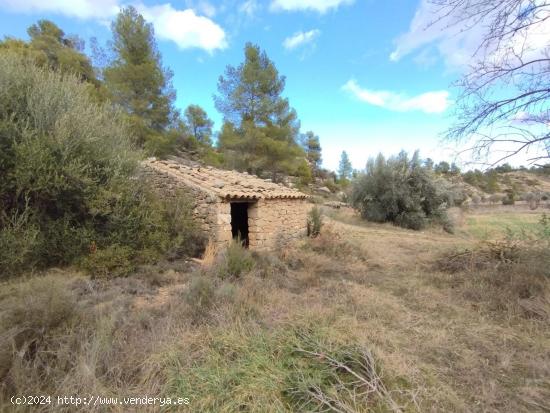 Maset en la Fresneda - TERUEL