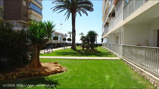 ¡¡OPORTUNIDAD EN 1RA LÍNEA!! APARTAMENTO DE 3 DORMITORIOS Y 2 BAÑOS EN BENIDORM - ALICANTE