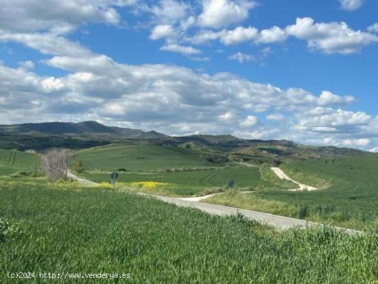 Terreno rustico en Obanos - NAVARRA