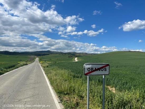 Terreno rustico en Obanos - NAVARRA