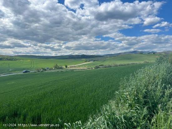 Terreno rustico en Obanos - NAVARRA