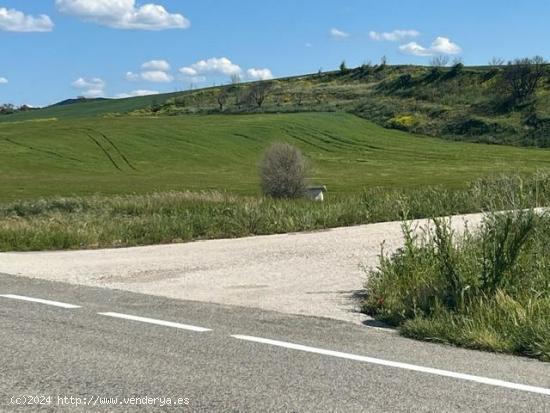 Terreno rustico en Obanos - NAVARRA