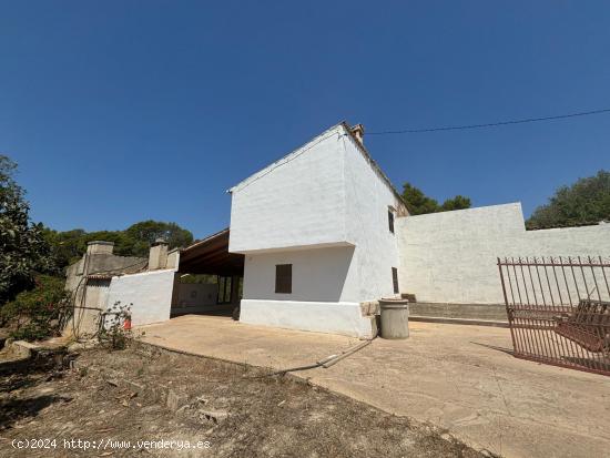  FINCA RUSTICA A LAS AFUERAS DE INCA - BALEARES 