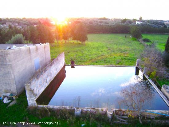 Finca rústica con muchas posibilidades en Muro - BALEARES