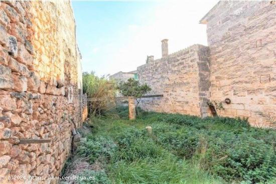  Solar  urbanizable en Muro con muy buen ubicación. - BALEARES 