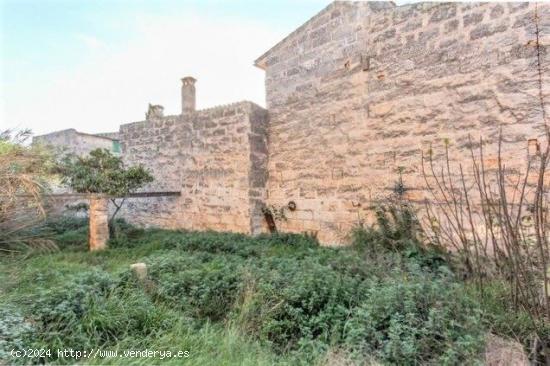 Solar  urbanizable en Muro con muy buen ubicación. - BALEARES