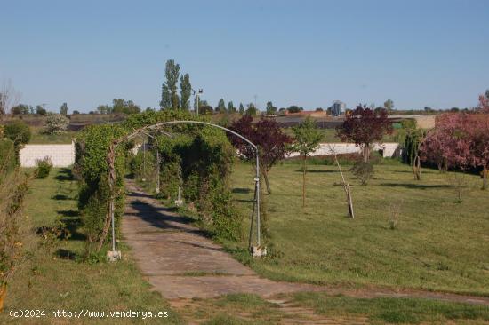 CASA EN JIMENEZ DE JAMUZ - LEON