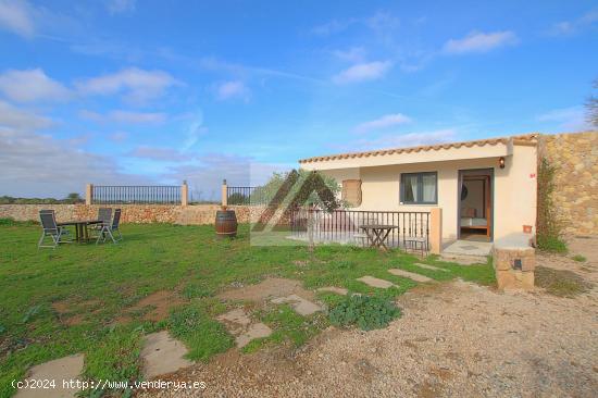 Antiguo molino con casita de invitados recién reformado - BALEARES