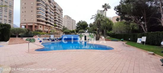 Espectacular piso de lujo en Benidorm con vistas al mar - ALICANTE