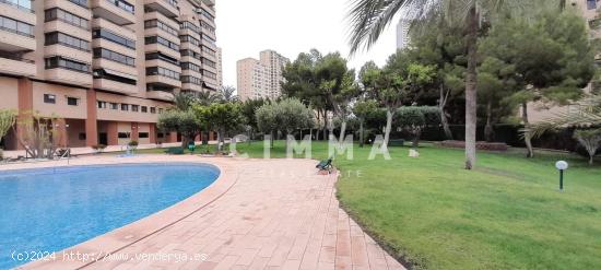 Espectacular piso de lujo en Benidorm con vistas al mar - ALICANTE