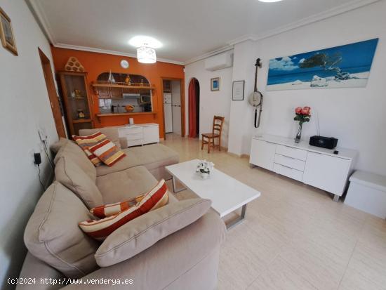 Bungalow Alto Zeniamar VII con solarium privado - ALICANTE