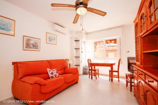 APARTAMENTO DE 1 DORMITORIO 1 BAÑO EN CENTRO DE TORREVIEJA (ALICANTE) - ALICANTE