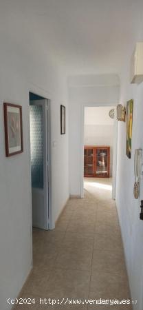  Apartamento en Elche (Alicante) - ALICANTE 