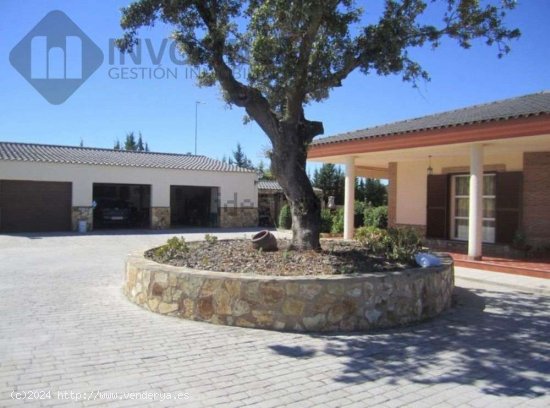 MAGNIFICO CHALET EN VENTA EN CAMPOS MANES TOTLAMENTE AMUEBLADO - Badajoz