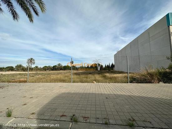  EN VENTA SOLAR EN POLIGONO AGROALIMENTARIO!! - ALICANTE 