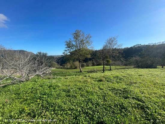 TERRENO URBANO CON PROYECTO Y CON VISTAS EN LABARCES - VALDALIGA - CANTABRIA