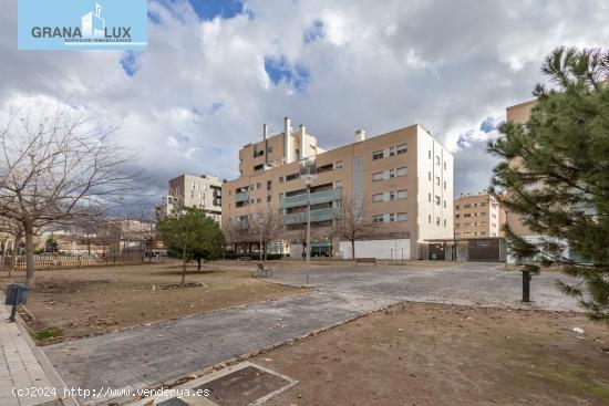  Local  Campus de la Salud - GRANADA 