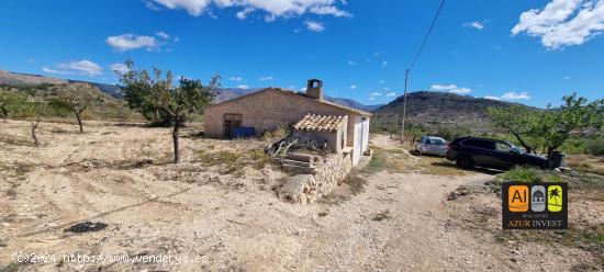  GRAN FINCA CON CASA EN EL PUEBLO DE RELLEU - ALICANTE 