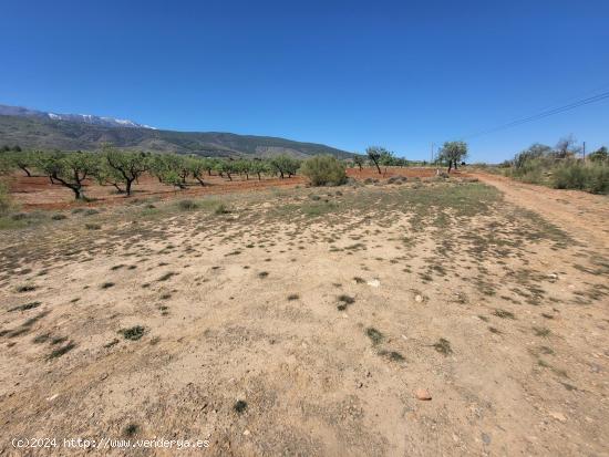  SE VENDE PARCELA  RUSTICA EN ABRUCENA  ZONA CAMPILLO - ALMERIA 