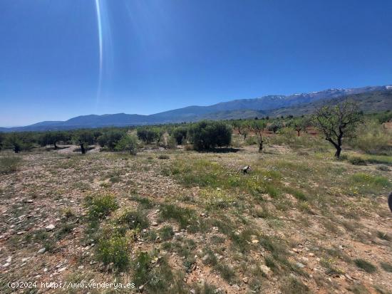 SE VENDE PARCELA  RUSTICA EN ABRUCENA  ZONA CAMPILLO - ALMERIA