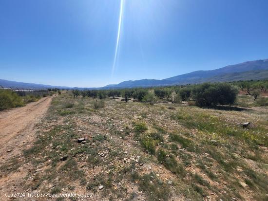 SE VENDE PARCELA  RUSTICA EN ABRUCENA  ZONA CAMPILLO - ALMERIA